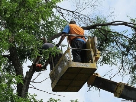 Шаг 2: Объявление о вакансии и проведение собеседований