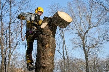 Шаг 1: Ознакомление с требованиями должности бухгалтера 1 категории