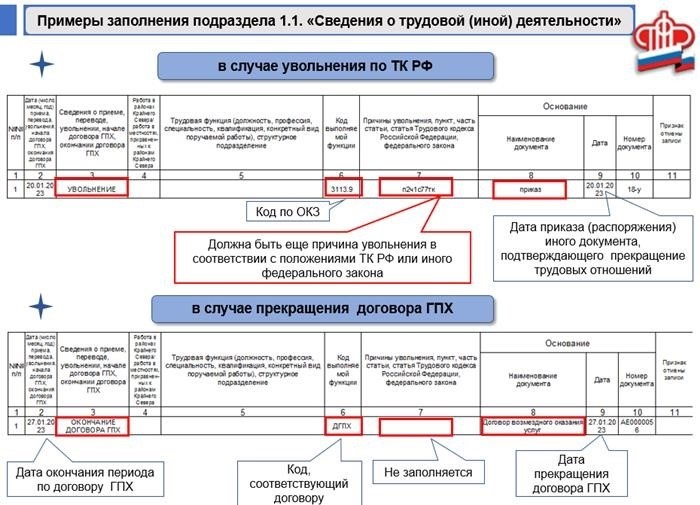 Расшифровка отчета ЕФС-1