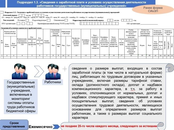 Кто сдает отчет ЕФС-1