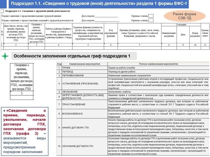 Особенности оформления отчета ЕФС-1