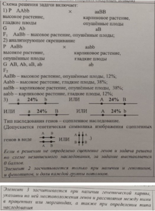 Голандрический тип наследования (Y-сцепленное наследование)