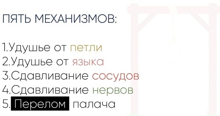 Для чего нужна и как проводится судмедэкспертиза после ДТП