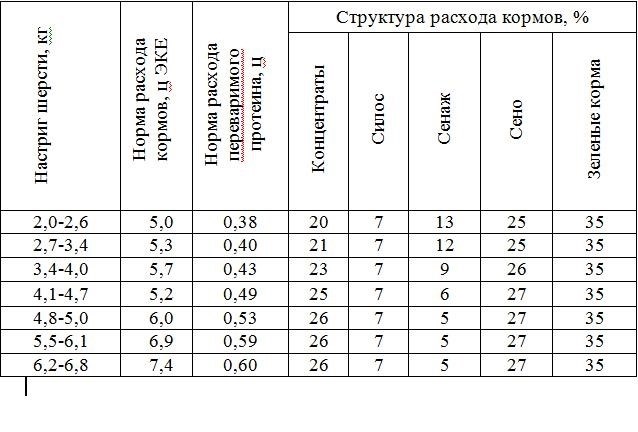 Особенности формата документа Microsoft Office Word 97 - 2003 (2).doc