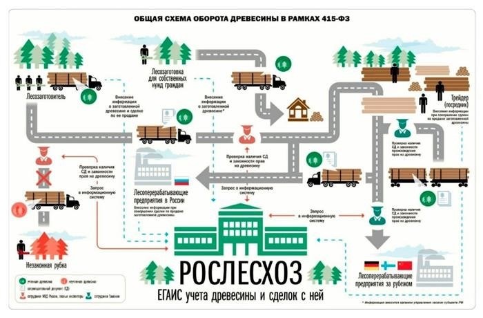 Требования к ИП и ООО для приобретения древесины