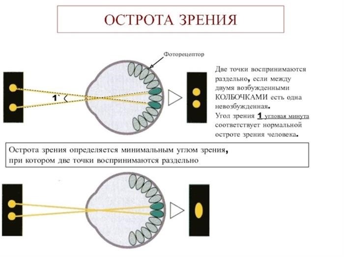 Что собой представляет таблица Сивцева