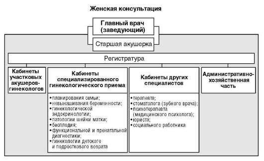 Кто такая акушерка?