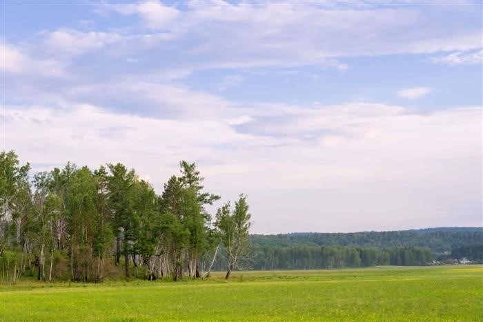 Что такое аренда земли на неопределенный срок и ее особенности