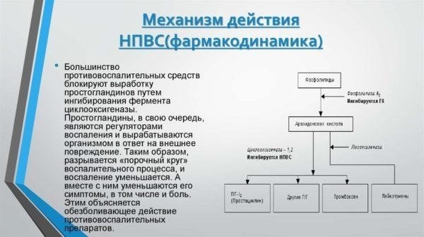 Пролонгация больничного листа: уведомление врача о продолжении болезни