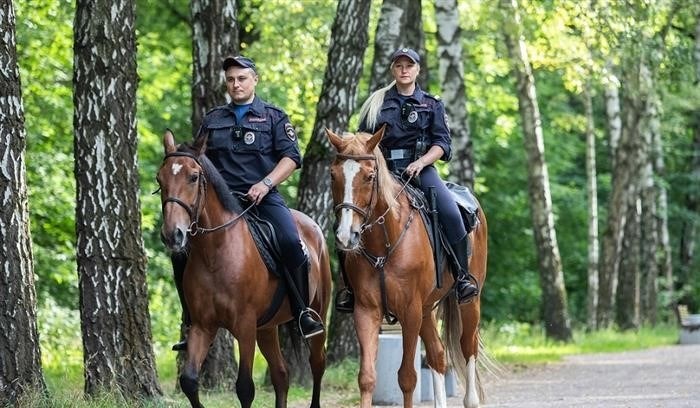 Уровень зарплаты